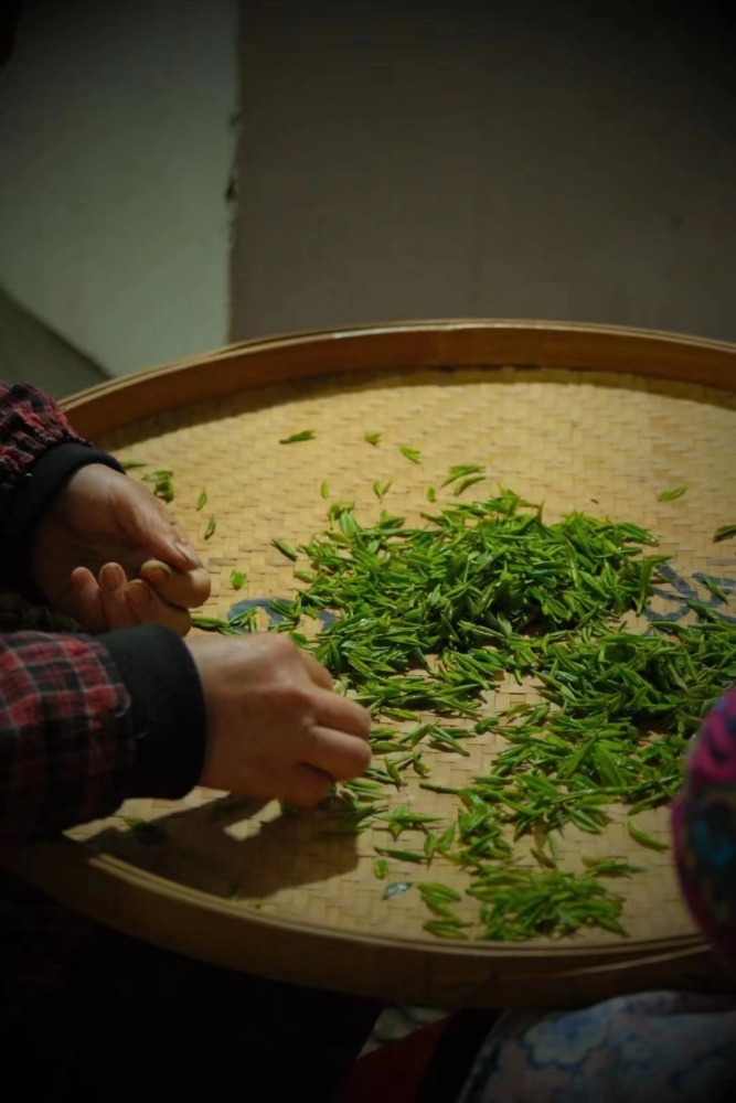 Black Tea Jinjunmei