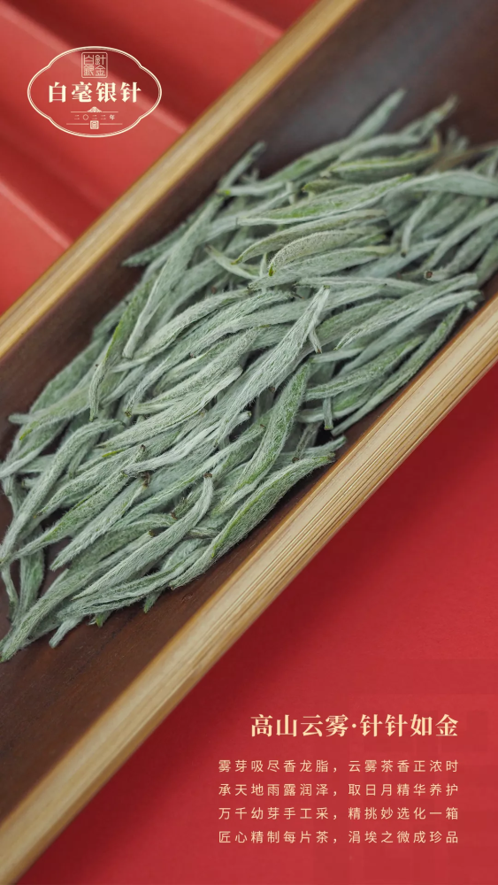 White Tea Fujian Fuding Baiji Silver Needle