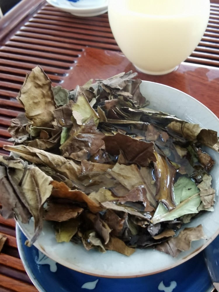 White Tea Honey Fragrance Wilder White Tea