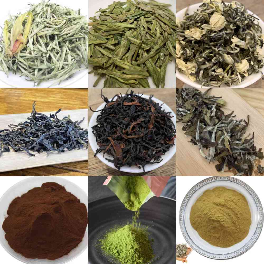 Cold brew tea sample