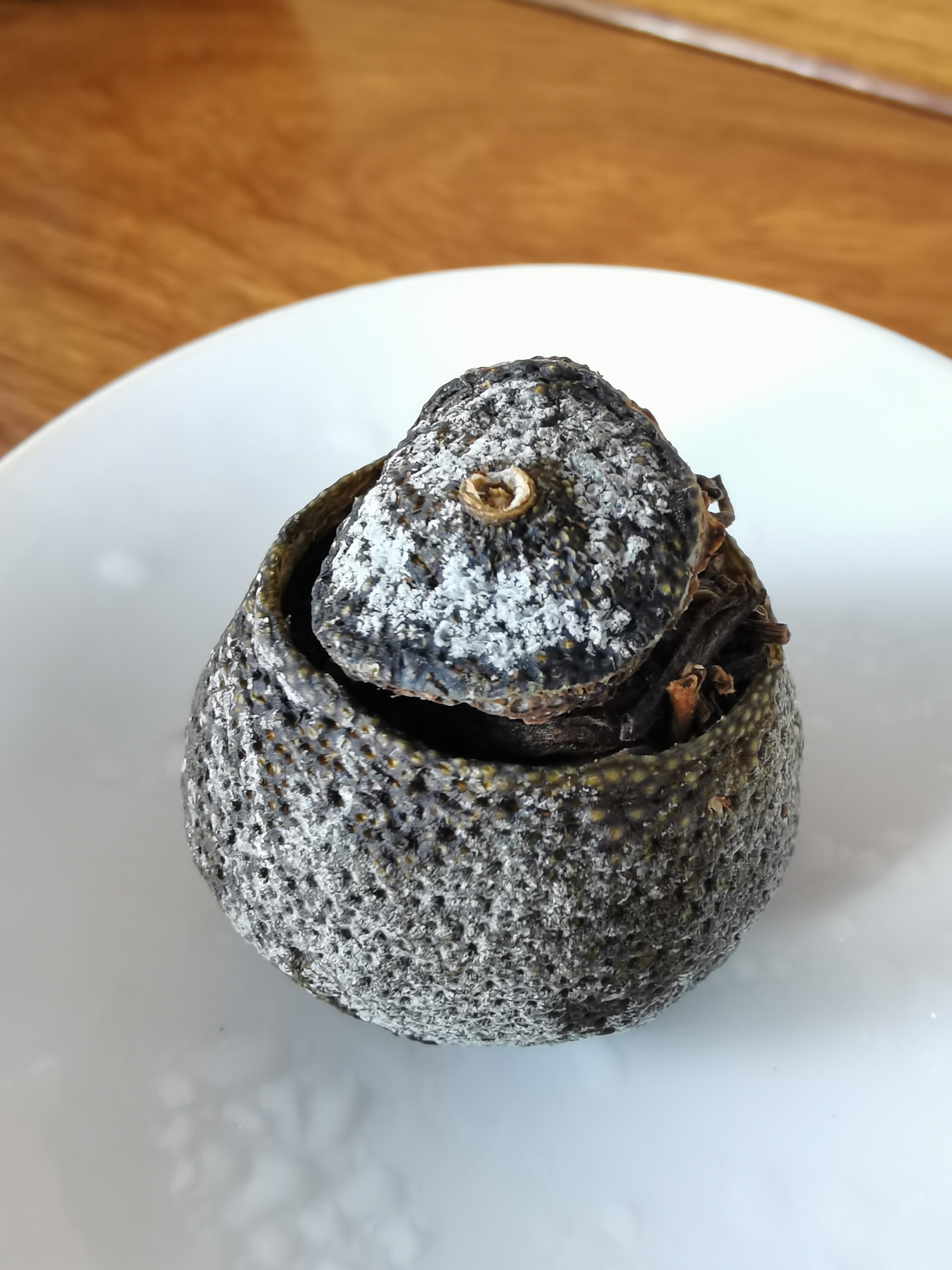 Xijia tangerine Puer tea