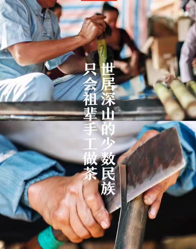 Bamboo raw Pu 'er tea produced in 2016