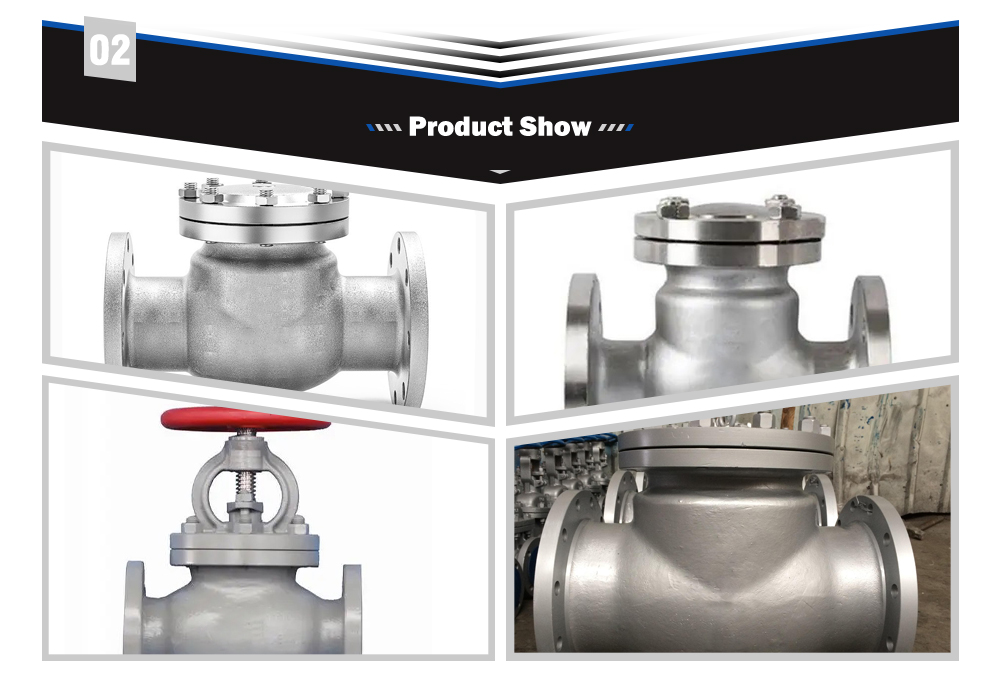 Cast Steel Flanged Swing Check Valve