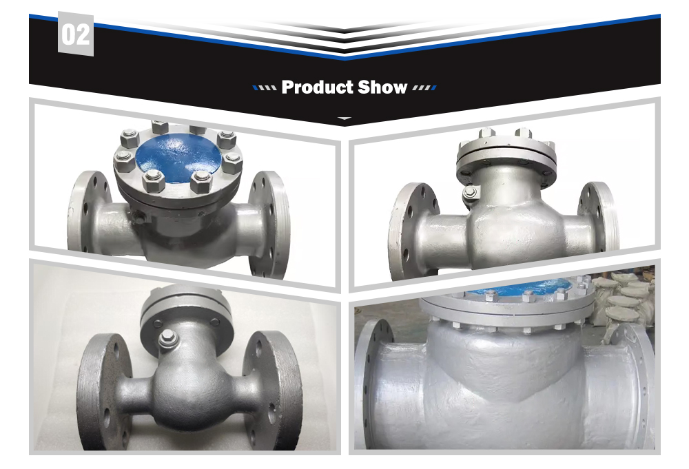 Cast Steel Low Pressure Check Valve