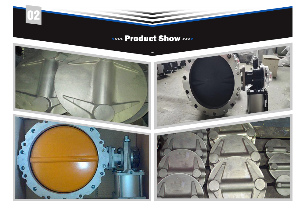 Stainless Steel Butterfly Valve Plate