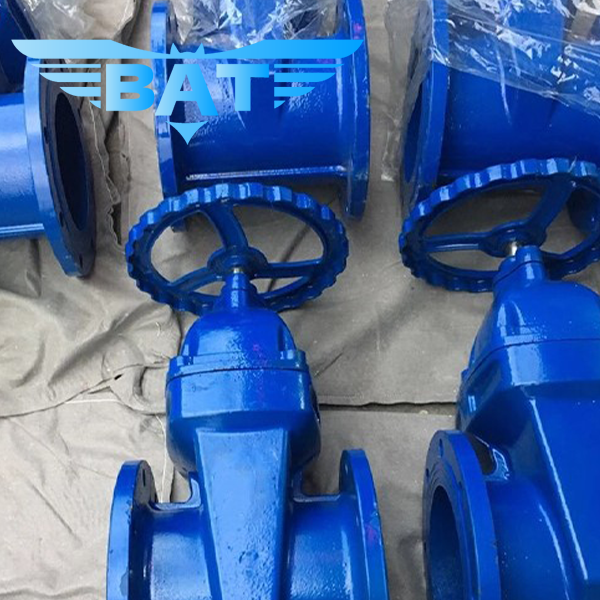 Cast Iron Rising Stem Gate Valve