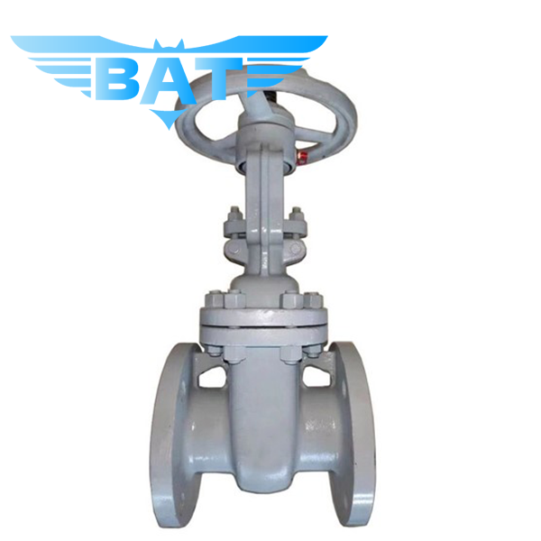 Cast Steel Flanged Gate Valve