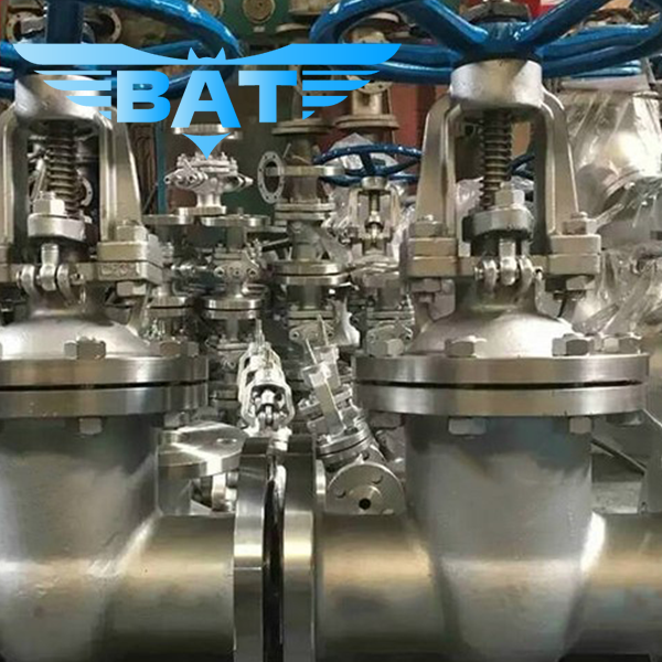 Cast Iron Rising Stem Gate Valve