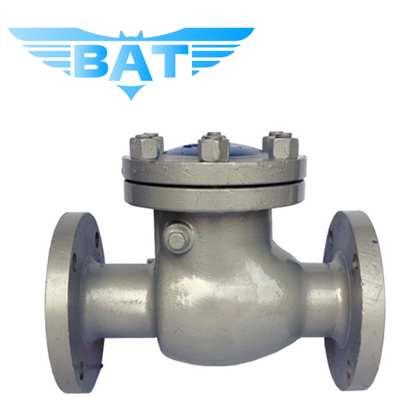 Cast Steel Low Pressure Check Valve