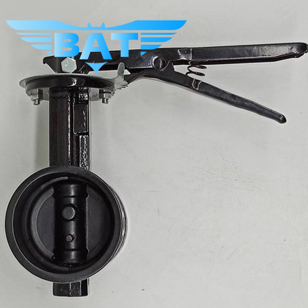 Sanitary Butterfly Valve
