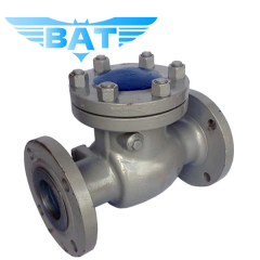 Cast Steel Low Pressure Check Valve