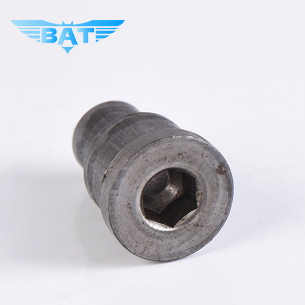 Non-Standard Stainless Steel Cold Forging Parts