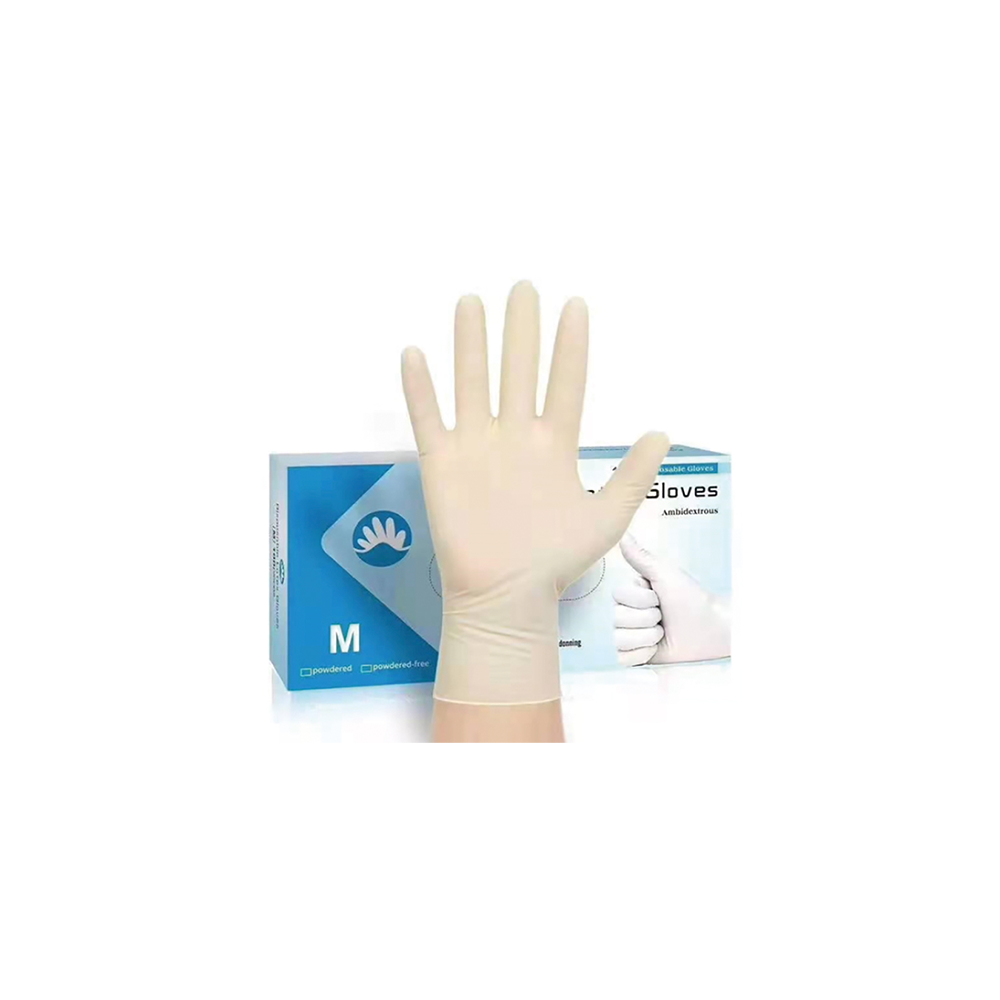 NS Latex Glove 乳膠手套