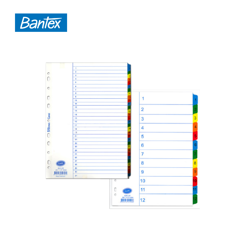 Bantex Mylar Paper Index A4 紙質裱膠頭索引分類
