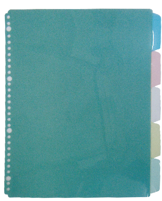 Clear Holder Index Refill 5-tab 活頁資料簿 5 級索引