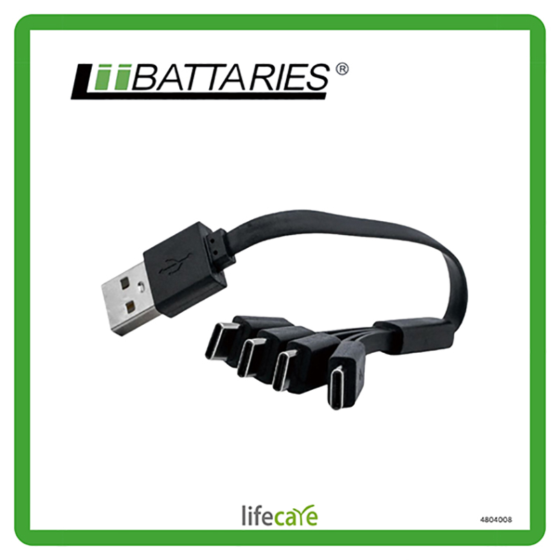 LiiBATTARIES 1出4 4 X USB-C 電充線 (19cm)