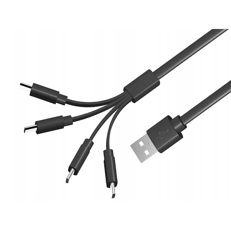 LiiBATTARIES 1出4 4 X USB-C 電充線 (19cm)