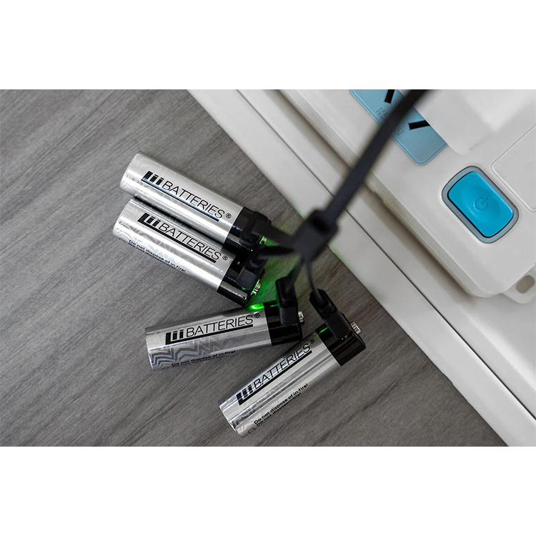 LiiBATTARIES 1出4 4 X USB-C 電充線 (19cm)