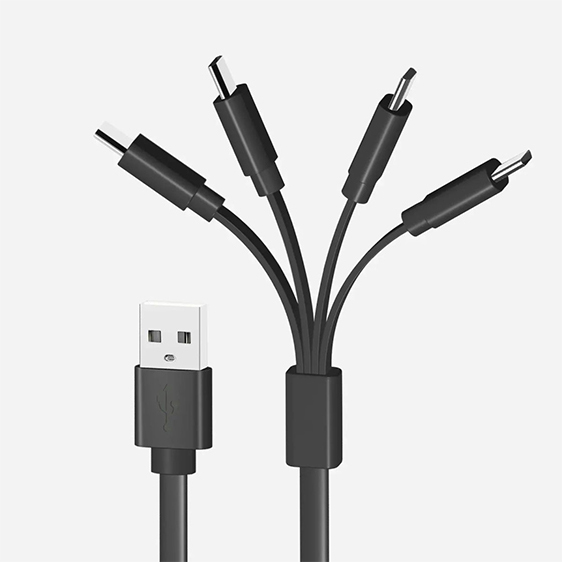 LiiBATTARIES 1出4 4 X USB-C 電充線 (19cm)