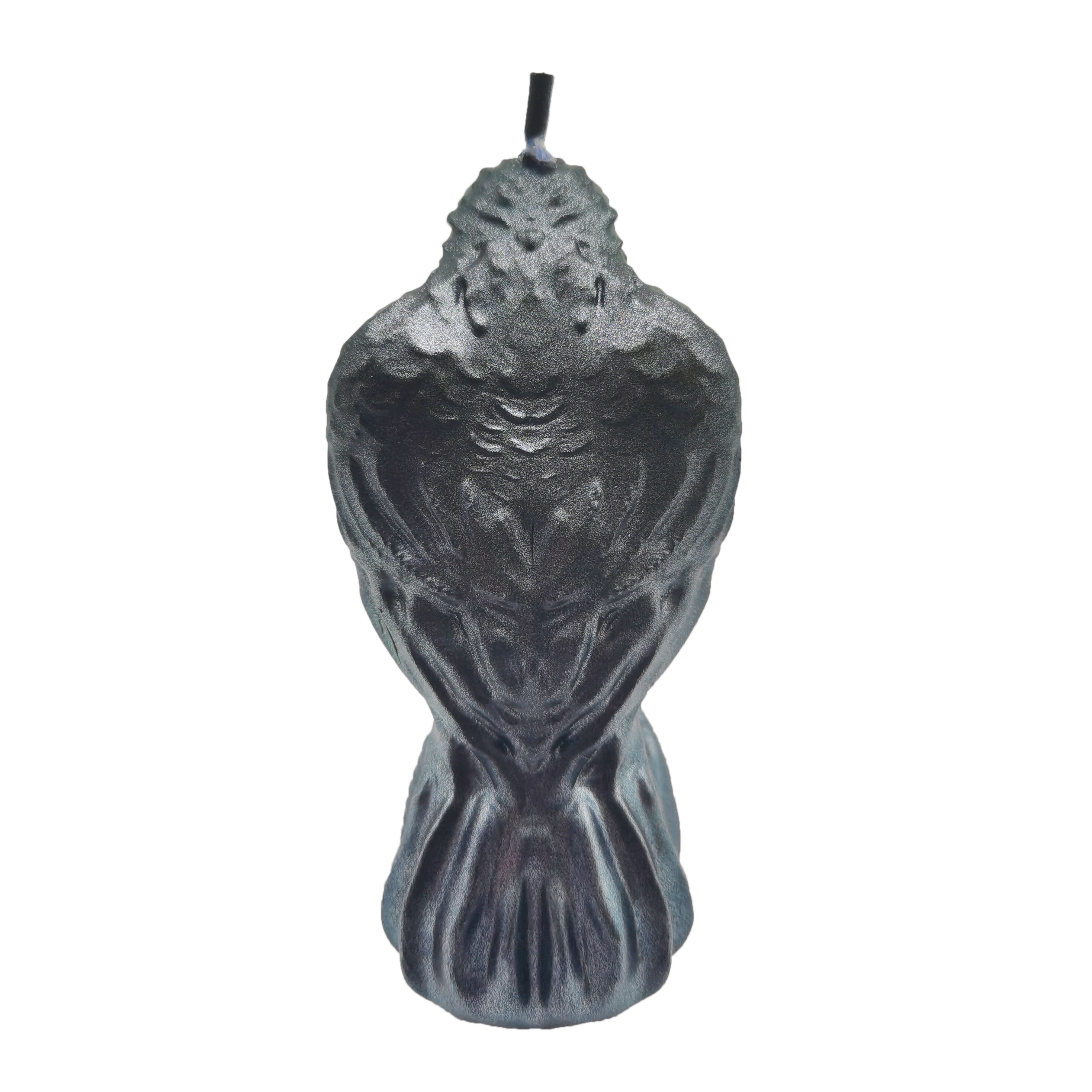 glitter crow skull blue backside
