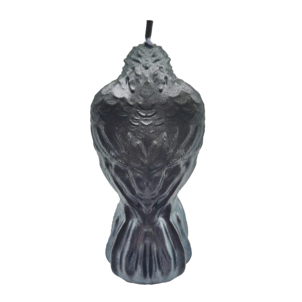 glitter crow skull blue backside