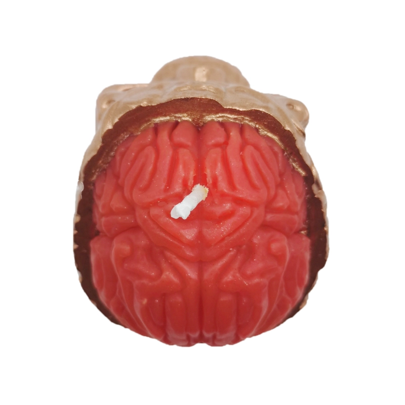 Brain Opened Rose Gold Skull_Topview