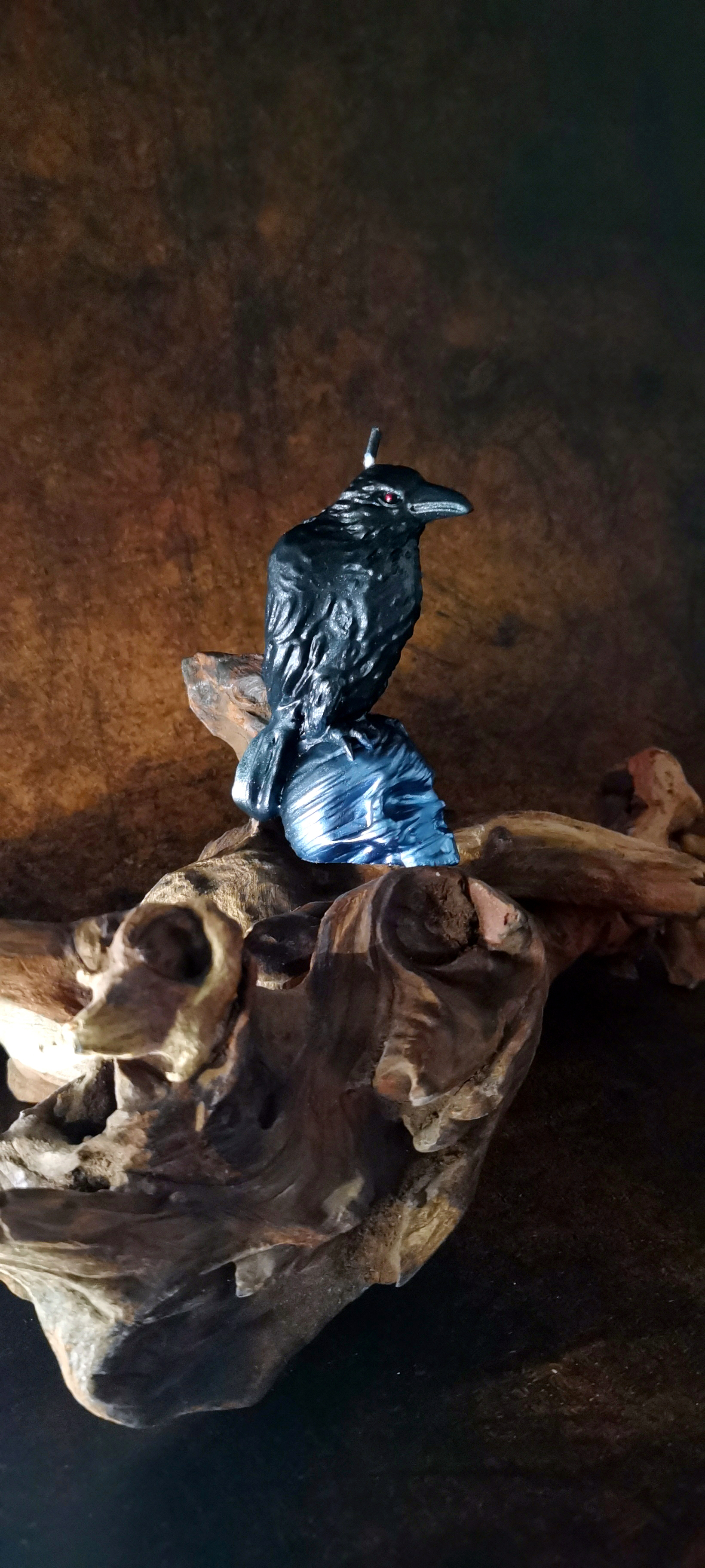 On A Dead Log A Crow Standing On A Skull_vertical