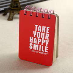 juyou paper portable A6 spiral paper notebook with frosting PP cover