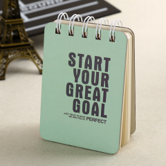 juyou paper portable A6 spiral paper notebook with frosting PP cover