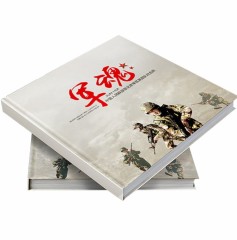 juyou paper Perfect company album book printing product manual folding instruction booklet paper brochure catalogue printing