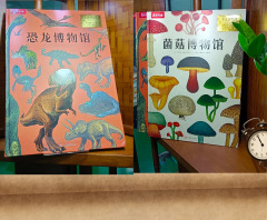juyou paper good quality full color printing customized dino museum story books making hardcover sewing binding ,Custom picture books