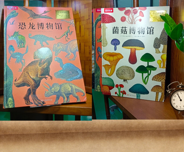 juyou paper good quality full color printing customized dino museum story books making hardcover sewing binding ,Custom picture books