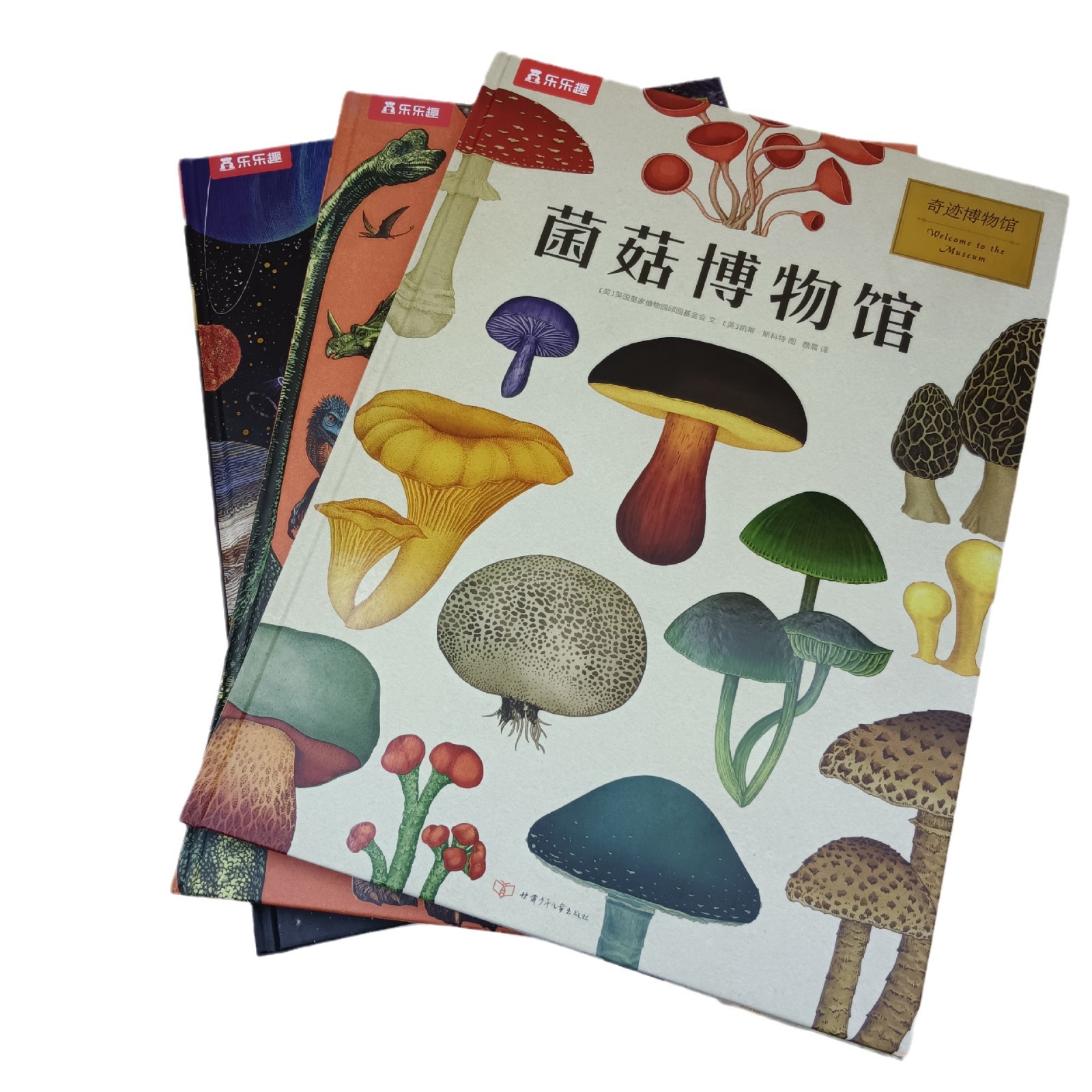 juyou paper good quality full color printing customized dino museum story books making hardcover sewing binding ,Custom picture books