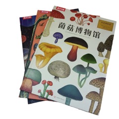 juyou paper good quality full color printing customized dino museum story books making hardcover sewing binding ,Custom picture books