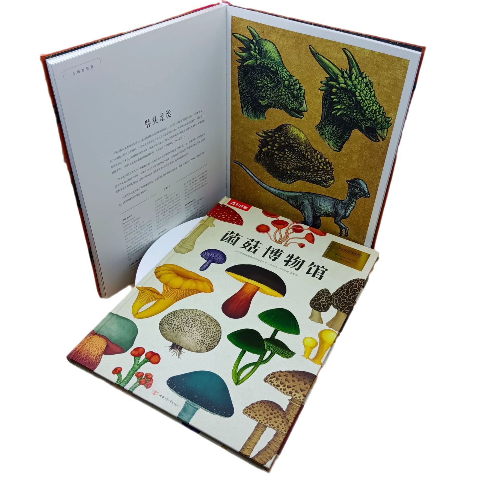 juyou paper good quality full color printing customized dino museum story books making hardcover sewing binding ,Custom picture books