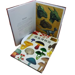juyou paper good quality full color printing customized dino museum story books making hardcover sewing binding ,Custom picture books