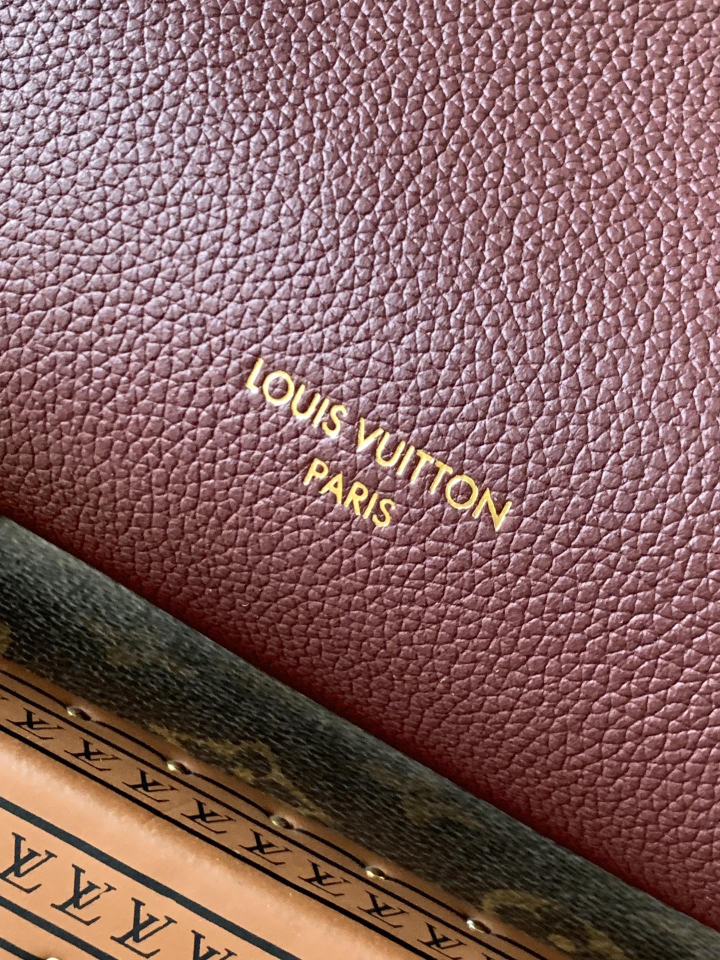 頂級復刻 LV Side Trunk MM 手袋 細節圖