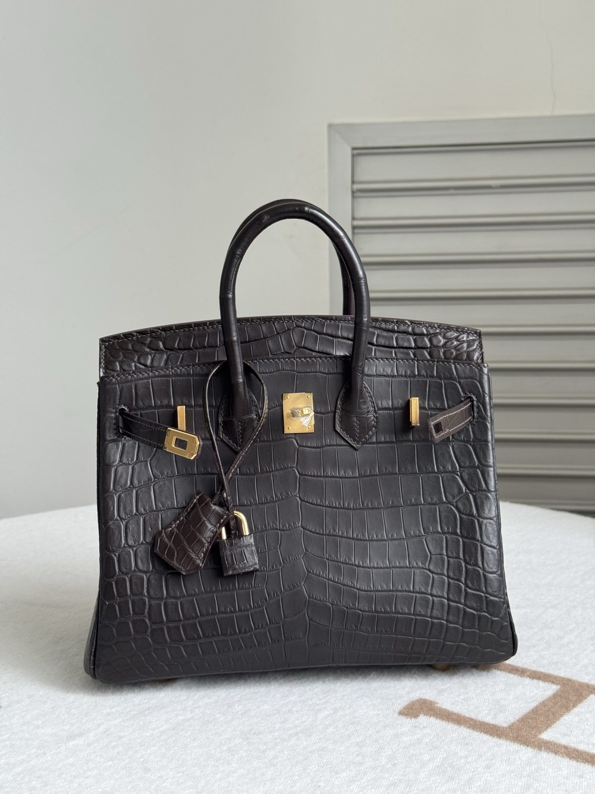 烏木色 Birkin 25 整體