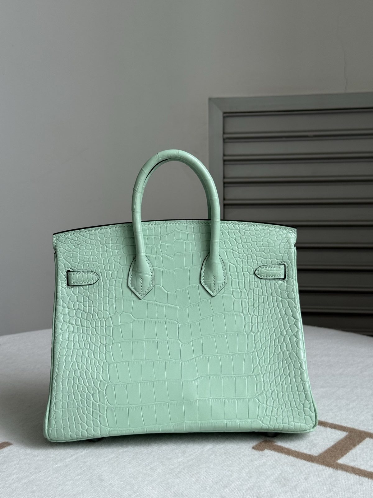 Birkin 25 霧面短吻鱷 圓骨紋細節