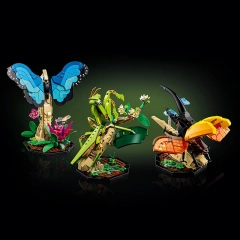 The Insect Collection Ideas 21342