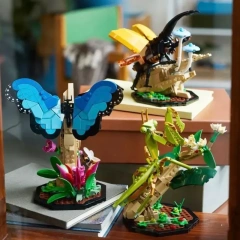 The Insect Collection Ideas 21342
