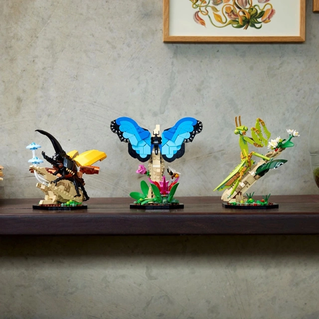 The Insect Collection Ideas 21342