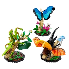The Insect Collection Ideas 21342