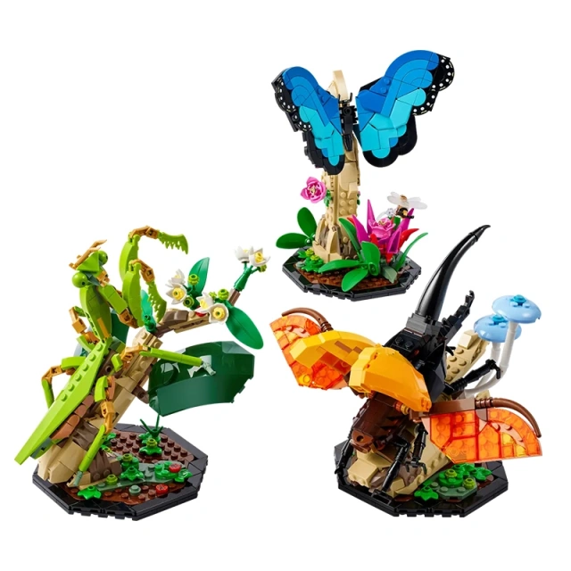 The Insect Collection Ideas 21342