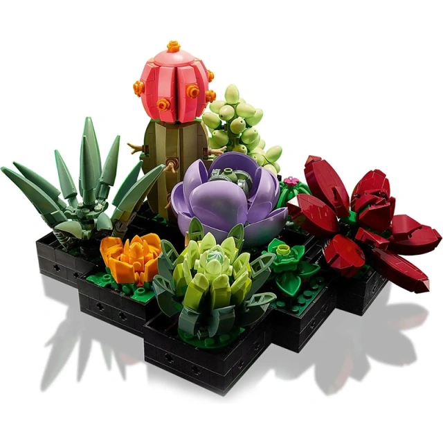 Succulents Flower Botanical Collection Creator Expert 10309