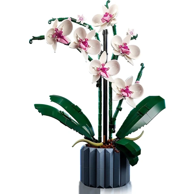 Orchid Botanical Flower Creator Expert 10311