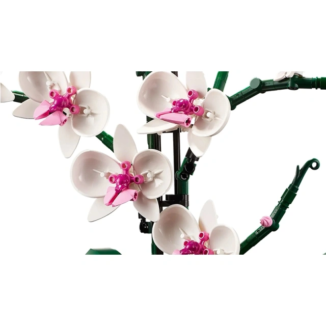 Orchid Botanical Flower Creator Expert 10311