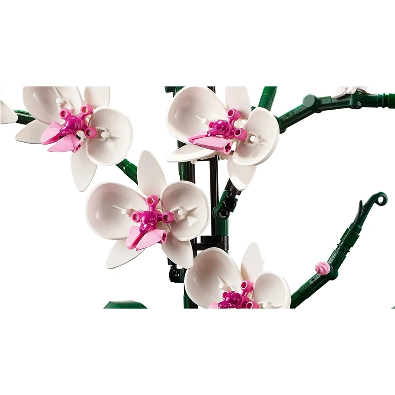 Orchid Botanical Flower Creator Expert 10311