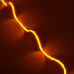 Orange Cob Led Strip 8MM DC24V IP20 CRI90 3 years Warranty