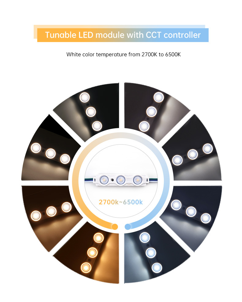 2700-6500K white turnable CCT LED module DC12V 1.5W
